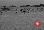 Image soldats des États-Unis en Asie du Sud-Est, 1952, de la seconde 47 séquences d'archives historiques vidéo 65675044028