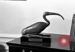 Immagine di Il presidente Eisenhower memorabilia United States USA, 1969, secondo 43 filmato di repertorio 65675044032