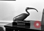 Immagine di Il presidente Eisenhower memorabilia United States USA, 1969, secondo 44 filmato di repertorio 65675044032