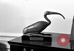 Immagine di Il presidente Eisenhower memorabilia United States USA, 1969, secondo 46 filmato di repertorio 65675044032