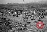 Image of ROK training facility Korea, 1955, second 5 stock footage video 65675044042