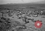 Image of ROK training facility Korea, 1955, second 6 stock footage video 65675044042