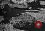 Image of ROK training facility Korea, 1955, second 15 stock footage video 65675044042