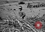 Image of Republic of Korea troops being trained Korea, 1955, second 25 stock footage video 65675044043