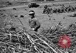 Image of Republic of Korea troops being trained Korea, 1955, second 26 stock footage video 65675044043