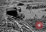 Image of Republic of Korea troops being trained Korea, 1955, second 27 stock footage video 65675044043