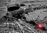 Image of Republic of Korea troops being trained Korea, 1955, second 28 stock footage video 65675044043