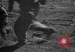 Image of Republic of Korea troops being trained Korea, 1955, second 39 stock footage video 65675044043