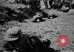 Image of Republic of Korea troops being trained Korea, 1955, second 49 stock footage video 65675044043