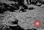 Image of Republic of Korea troops being trained Korea, 1955, second 50 stock footage video 65675044043