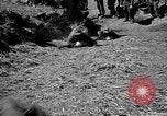 Image of Republic of Korea troops being trained Korea, 1955, second 52 stock footage video 65675044043