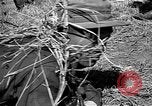 Image of Republic of Korea troops being trained Korea, 1955, second 53 stock footage video 65675044043