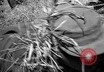 Image of Republic of Korea troops being trained Korea, 1955, second 54 stock footage video 65675044043