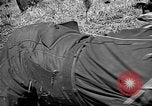 Image of Republic of Korea troops being trained Korea, 1955, second 55 stock footage video 65675044043