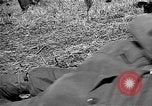Image of Republic of Korea troops being trained Korea, 1955, second 56 stock footage video 65675044043