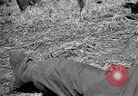 Image of Republic of Korea troops being trained Korea, 1955, second 57 stock footage video 65675044043