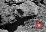 Image of Republic of Korea troops being trained Korea, 1955, second 62 stock footage video 65675044043