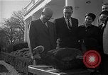 Immagine di Presidente Dwight Eisenhower D Washington DC USA, 1955, secondo 41 filmato di repertorio 65675044047