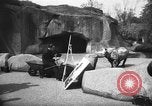 Immagine di Salvador Dali Parigi Francia, 1955, secondo 26 filmato di repertorio 65675044048