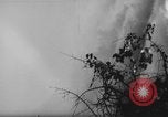 Immagine di Victoria Falls Centrale Federazione Africana, 1955, secondo 23 filmato di repertorio 65675044049