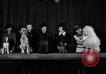 Image of dog show New York United States USA, 1940, second 5 stock footage video 65675044063