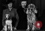 Image of dog show New York United States USA, 1940, second 6 stock footage video 65675044063