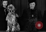 Image of dog show New York United States USA, 1940, second 10 stock footage video 65675044063