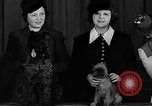 Image of dog show New York United States USA, 1940, second 14 stock footage video 65675044063