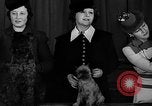 Image of dog show New York United States USA, 1940, second 15 stock footage video 65675044063