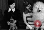 Image of dog show New York United States USA, 1940, second 17 stock footage video 65675044063
