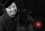 Image of dog show New York United States USA, 1940, second 28 stock footage video 65675044063