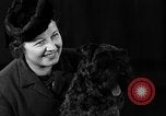 Image of dog show New York United States USA, 1940, second 31 stock footage video 65675044063
