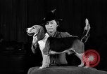 Image of dog show New York United States USA, 1940, second 47 stock footage video 65675044063