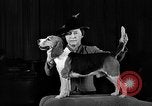 Image of dog show New York United States USA, 1940, second 48 stock footage video 65675044063