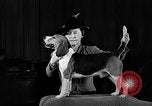 Image of dog show New York United States USA, 1940, second 49 stock footage video 65675044063