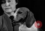 Image of dog show New York United States USA, 1940, second 51 stock footage video 65675044063