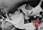 Standbild vietnamesische Volk Vietnam, 1935, aus Sekunde 17 historischem Filmmaterial Videoclip 65675044075