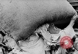 Standbild vietnamesische Volk Vietnam, 1935, aus Sekunde 18 historischem Filmmaterial Videoclip 65675044075