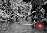 Standbild vietnamesische Volk Vietnam, 1935, aus Sekunde 32 historischem Filmmaterial Videoclip 65675044075