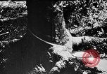 Standbild vietnamesische Volk Vietnam, 1935, aus Sekunde 51 historischem Filmmaterial Videoclip 65675044075