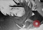 Image of French Colonial Officials Africa, 1930, second 25 stock footage video 65675044077