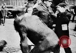 Image of City Police Officers with night sticks United States USA, 1925, second 28 stock footage video 65675044081
