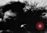 Image of World War I France, 1914, second 10 stock footage video 65675044083