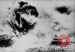 Image of World War I France, 1914, second 26 stock footage video 65675044083