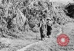 Immagine di Ho Chi Minh Il Vietnam, 1941, secondo 26 filmato di repertorio 65675044084
