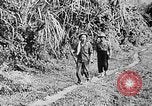 Immagine di Ho Chi Minh Il Vietnam, 1941, secondo 27 filmato di repertorio 65675044084