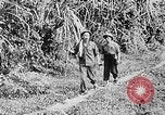 Immagine di Ho Chi Minh Il Vietnam, 1941, secondo 28 filmato di repertorio 65675044084