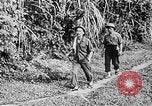 Immagine di Ho Chi Minh Il Vietnam, 1941, secondo 29 filmato di repertorio 65675044084