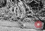 Immagine di Ho Chi Minh Il Vietnam, 1941, secondo 34 filmato di repertorio 65675044084