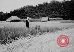 Image of Ho Chi Minh Vietnam, 1941, second 3 stock footage video 65675044085